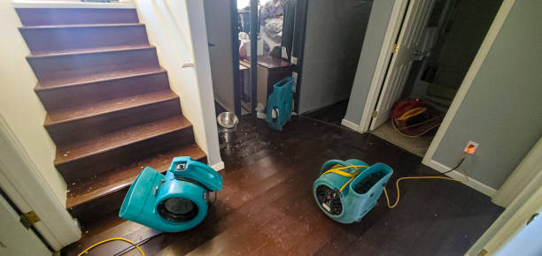Best 24/7 water damage repair  in Kings Beach, CA
