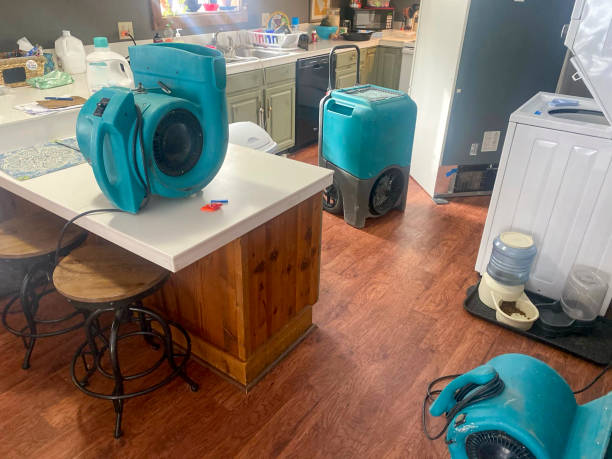  Kings Beach, CA Water damage restoration Pros